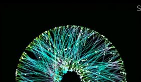 The next chapter for Corporate Venture Capital in the Netherlands 